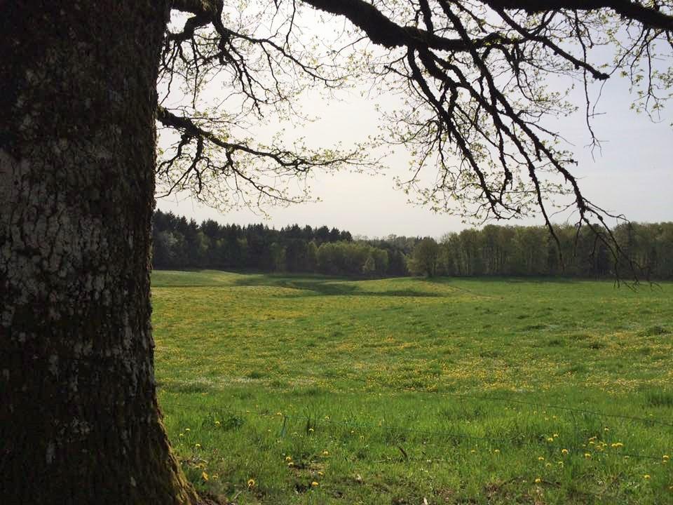 Auberge De Saint Julien Aux Bois Exteriör bild