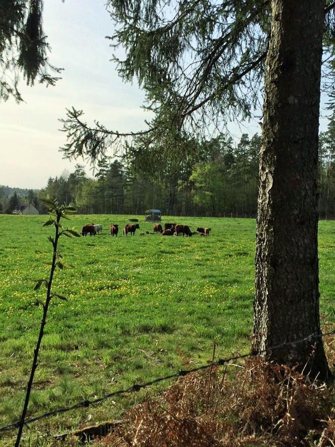 Auberge De Saint Julien Aux Bois Exteriör bild